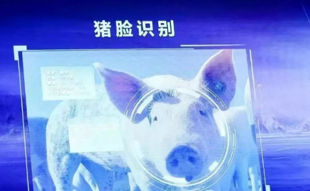 微信图片_20210804105705.png